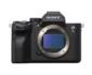 دوربین-سونی-عکاسی-Sony-Alpha-a7S-III-Mirrorless-Digital-Camera-Body-Only